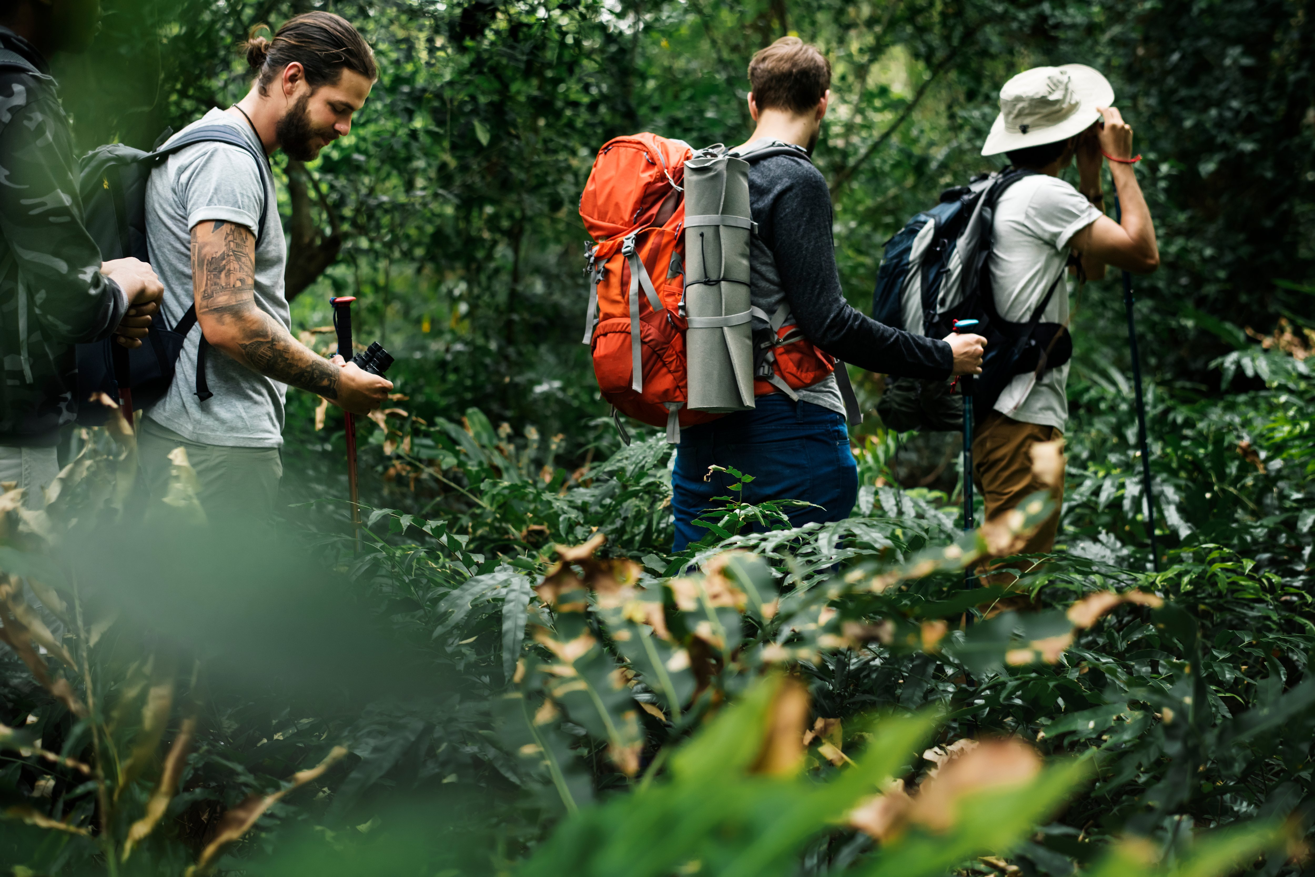 trekking-en-un-bosque
