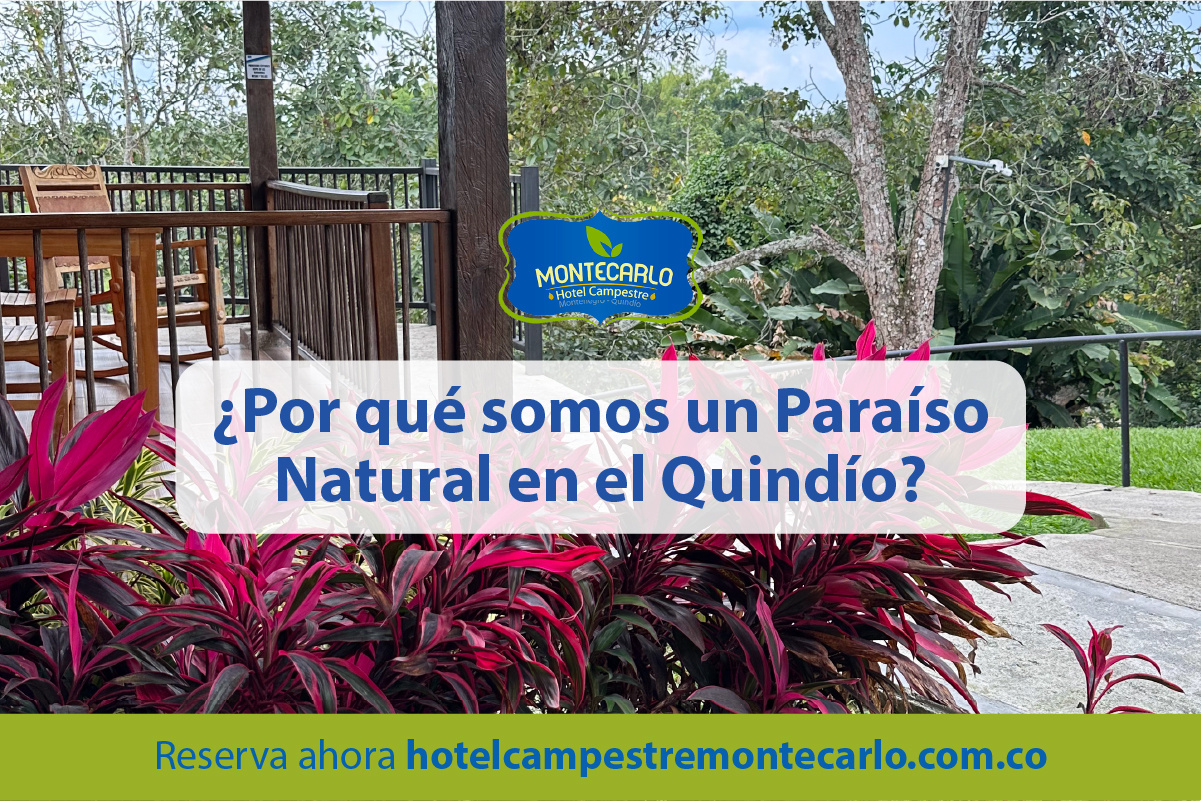 Hotel campestre en el Quindío: descubre un paraíso natural