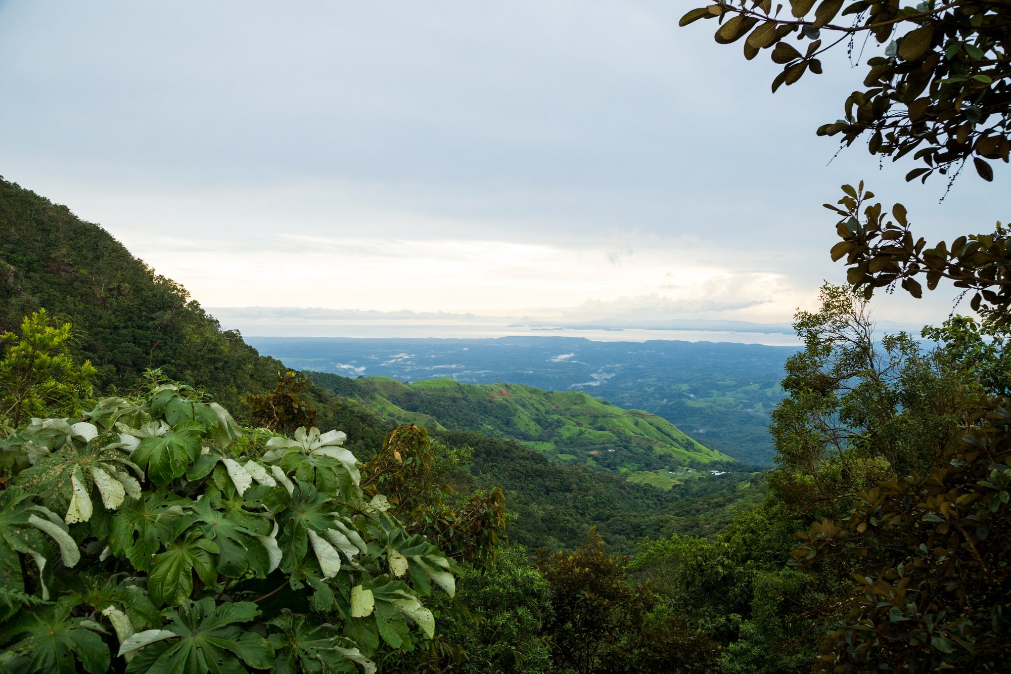 Hotel campestre en el Quindío: vive la fauna y la naturaleza en su estado más puro