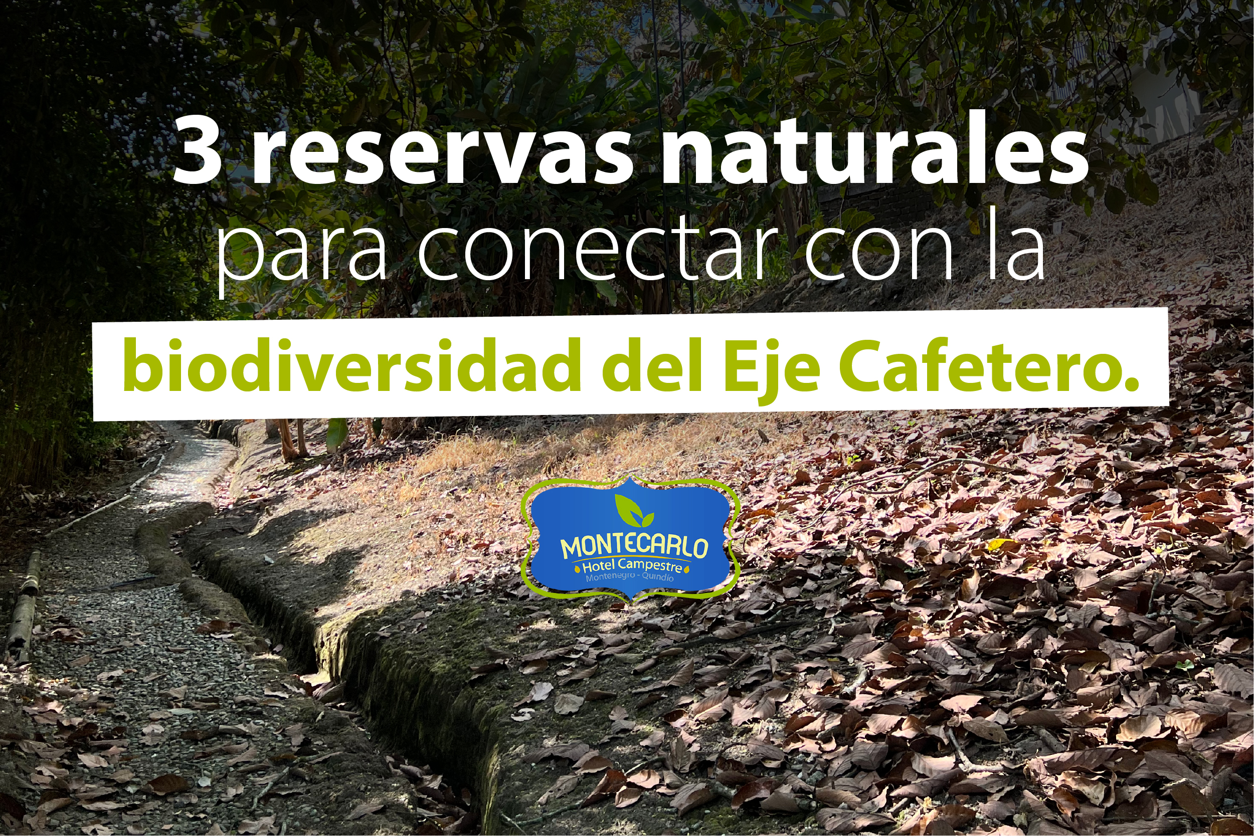 3 reservas naturales para conectar con la biodiversidad del Eje Cafetero