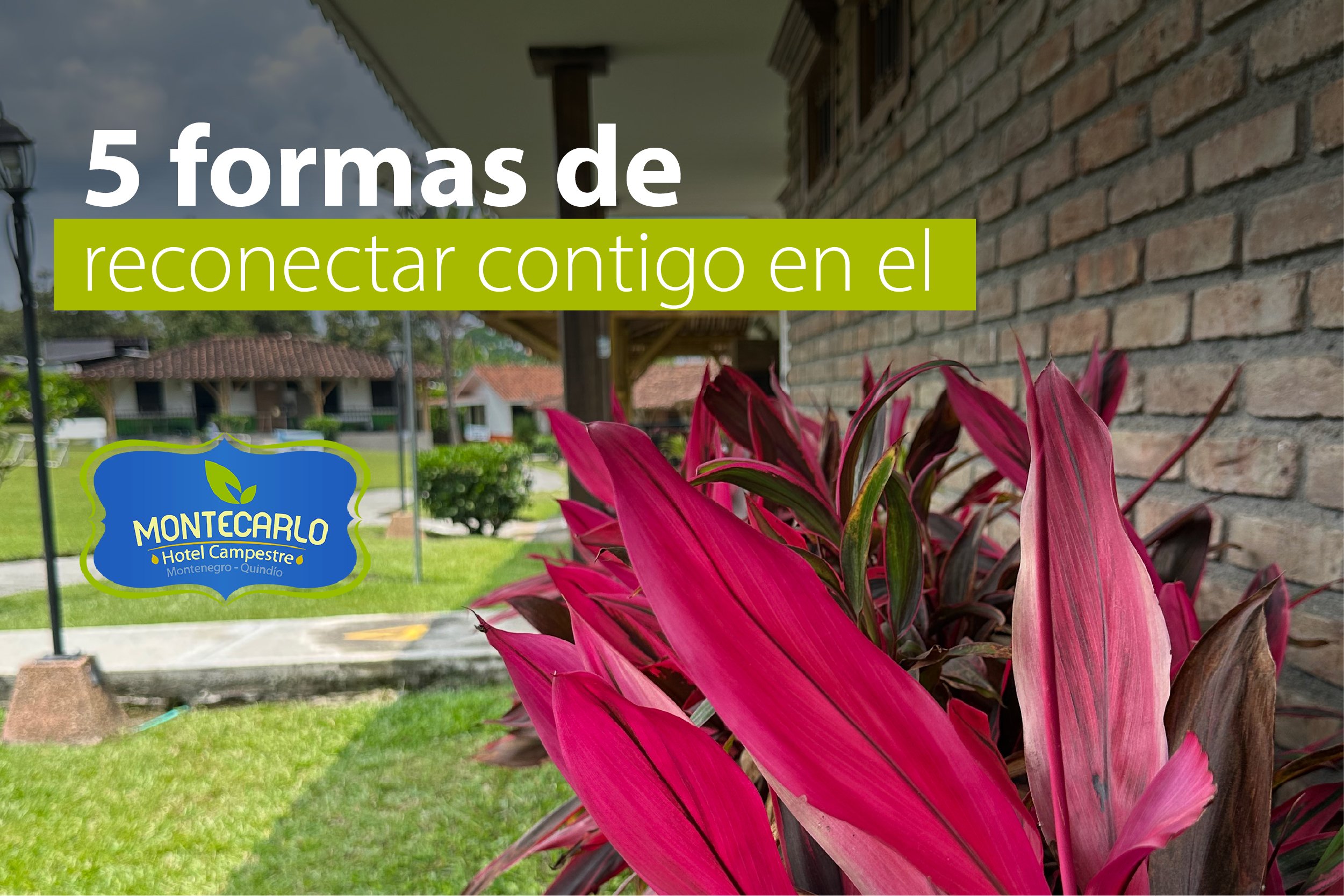 5 beneficios de hospedarte en un hotel campestre en el Quindío